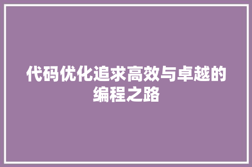 代码优化追求高效与卓越的编程之路