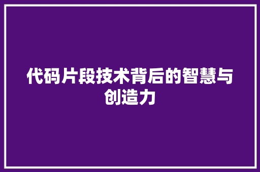 代码片段技术背后的智慧与创造力