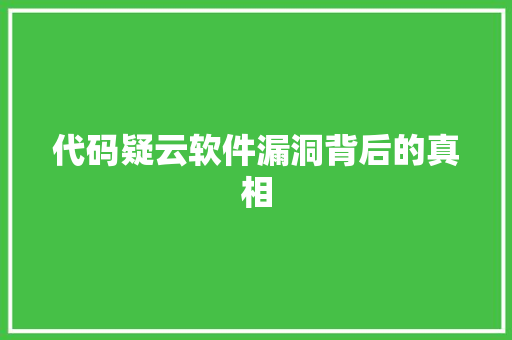 代码疑云软件漏洞背后的真相
