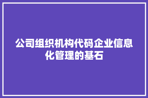 公司组织机构代码企业信息化管理的基石