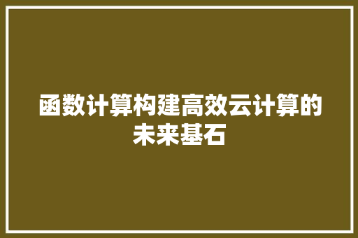 函数计算构建高效云计算的未来基石