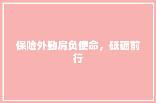 保险外勤肩负使命，砥砺前行