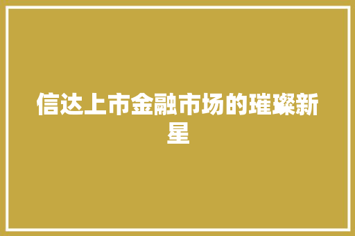信达上市金融市场的璀璨新星