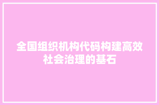 全国组织机构代码构建高效社会治理的基石