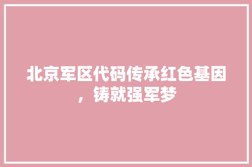 北京军区代码传承红色基因，铸就强军梦