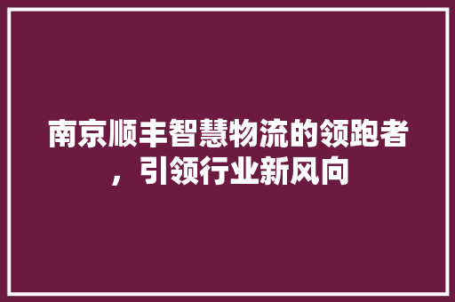 南京顺丰智慧物流的领跑者，引领行业新风向