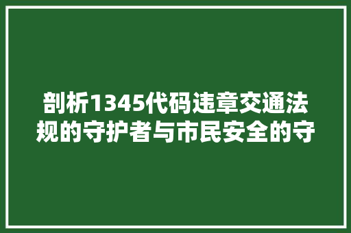剖析1345代码违章交通法规的守护者与市民安全的守护者