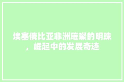 埃塞俄比亚非洲璀璨的明珠，崛起中的发展奇迹