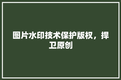 图片水印技术保护版权，捍卫原创
