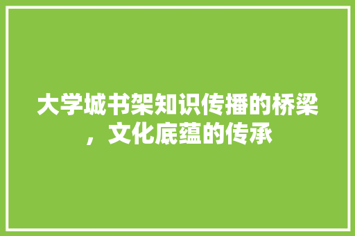 大学城书架知识传播的桥梁，文化底蕴的传承