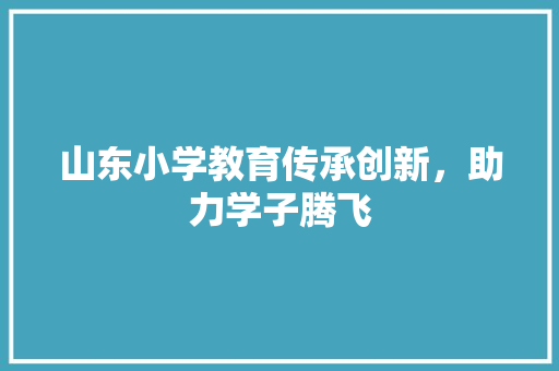 山东小学教育传承创新，助力学子腾飞