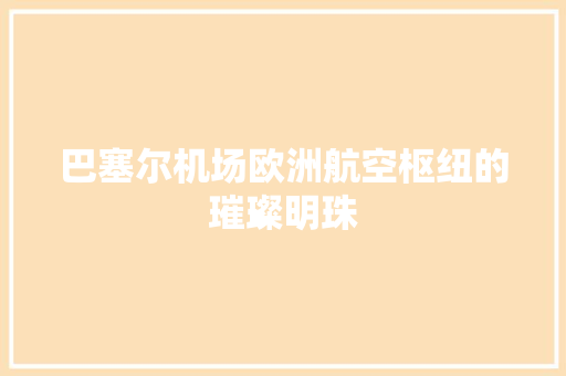 巴塞尔机场欧洲航空枢纽的璀璨明珠