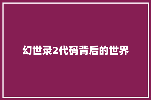 幻世录2代码背后的世界