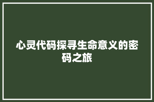 心灵代码探寻生命意义的密码之旅