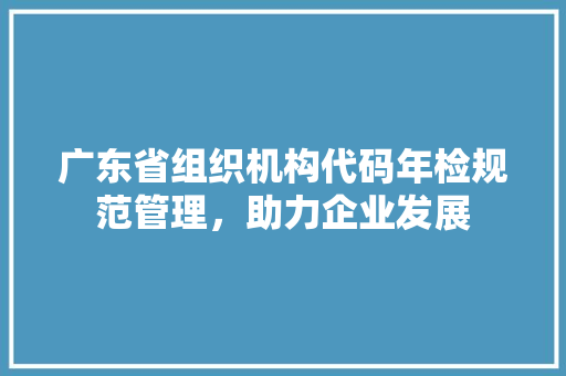 广东省组织机构代码年检规范管理，助力企业发展