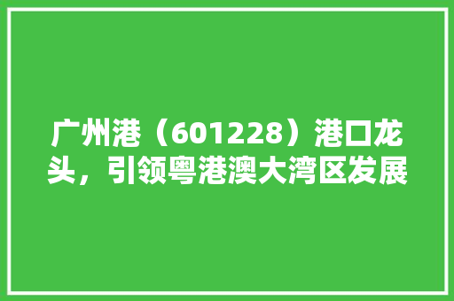 广州港（601228）港口龙头，引领粤港澳大湾区发展新潮流