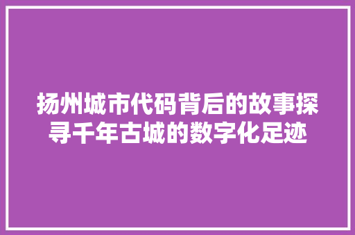 扬州城市代码背后的故事探寻千年古城的数字化足迹