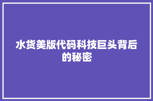 水货美版代码科技巨头背后的秘密