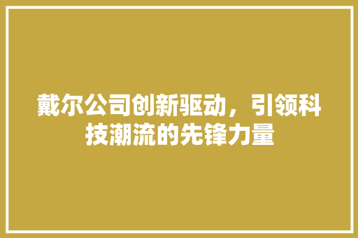 戴尔公司创新驱动，引领科技潮流的先锋力量