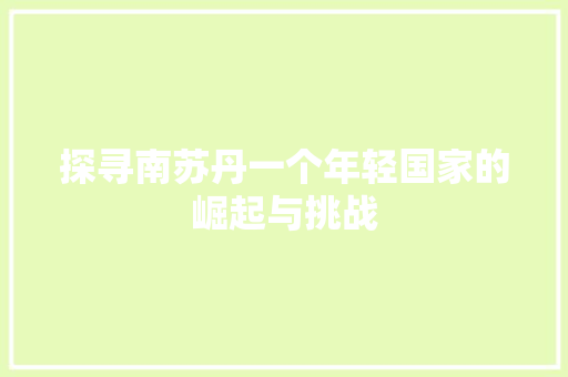 探寻南苏丹一个年轻国家的崛起与挑战