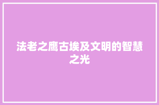 法老之鹰古埃及文明的智慧之光