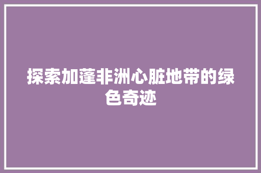 探索加蓬非洲心脏地带的绿色奇迹