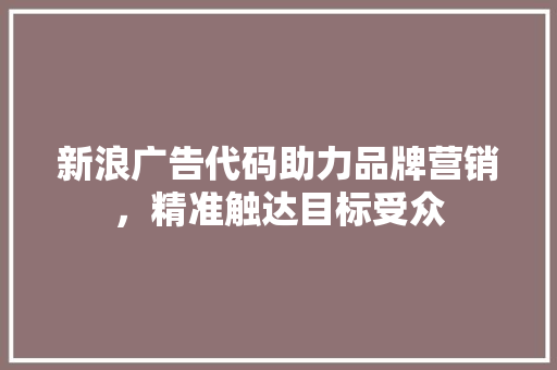 新浪广告代码助力品牌营销，精准触达目标受众