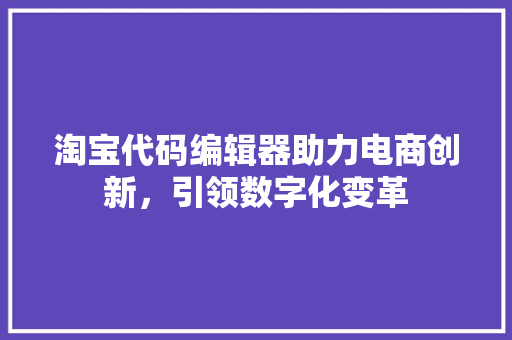 淘宝代码编辑器助力电商创新，引领数字化变革