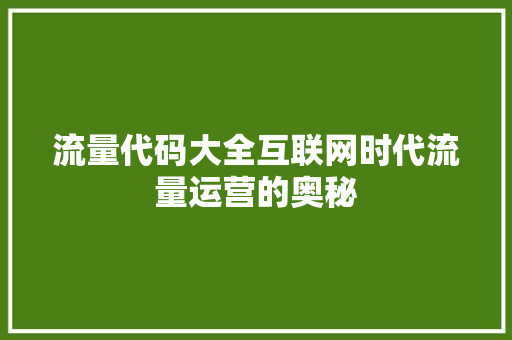 流量代码大全互联网时代流量运营的奥秘