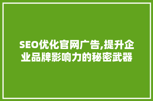 SEO优化官网广告,提升企业品牌影响力的秘密武器