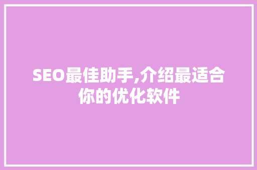 SEO最佳助手,介绍最适合你的优化软件