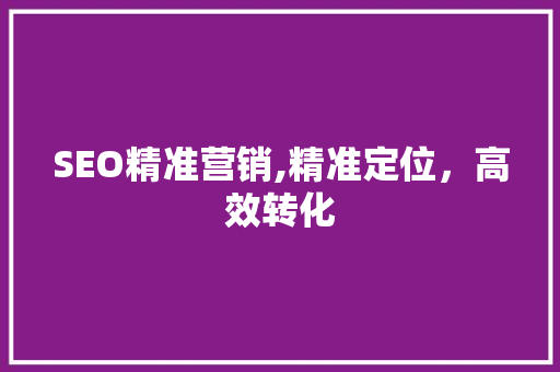 SEO精准营销,精准定位，高效转化