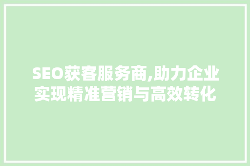 SEO获客服务商,助力企业实现精准营销与高效转化