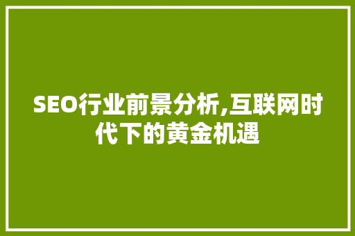 SEO行业前景分析,互联网时代下的黄金机遇