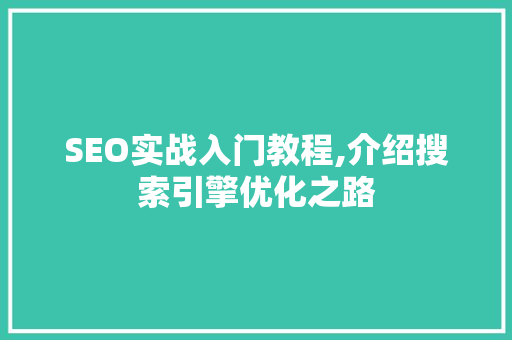 SEO实战入门教程,介绍搜索引擎优化之路