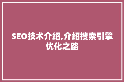 SEO技术介绍,介绍搜索引擎优化之路